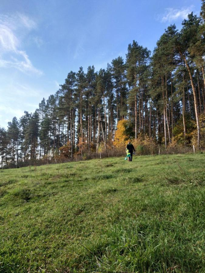 Domki Nad Jeziorem - Zalesie 7D Zalesie (Olsztyn) Exterior foto