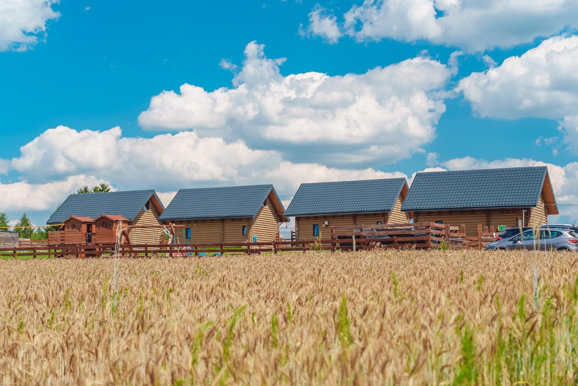 Domki Nad Jeziorem - Zalesie 7D Zalesie (Olsztyn) Exterior foto